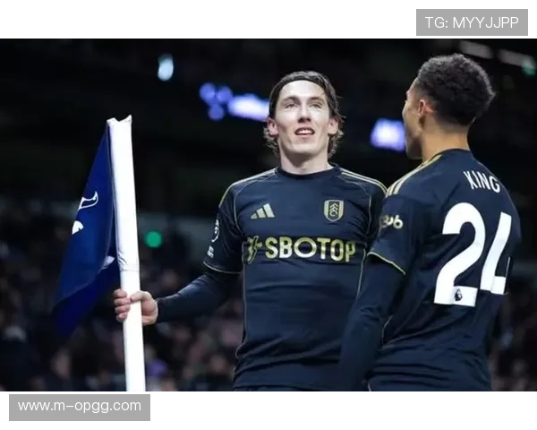 富勒姆2-2利物浦，威尔逊、维尔茨互相破门